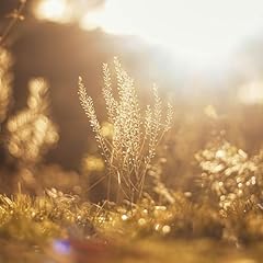 Golden hour for sale  Delivered anywhere in UK