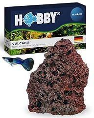 Hobby 970 vulcano gebraucht kaufen  Wird an jeden Ort in Deutschland