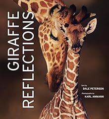 Giraffe reflections for sale  Delivered anywhere in USA 