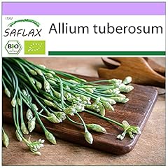 Saflax bio aglio usato  Spedito ovunque in Italia 