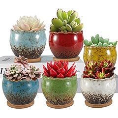 Zoutog succulent pots for sale  Delivered anywhere in USA 