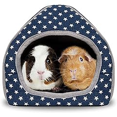 Ranypet guinea pig for sale  Delivered anywhere in UK