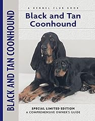Black tan coonhound for sale  Delivered anywhere in USA 