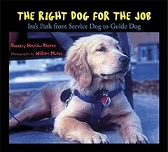 Right dog job for sale  Delivered anywhere in USA 