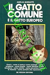 Gatto comune gatto usato  Spedito ovunque in Italia 
