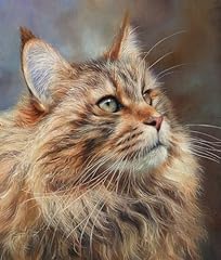 Maincoon cat poster for sale  Delivered anywhere in USA 