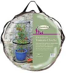 Cloche transparente haxnicks d'occasion  Livré partout en France