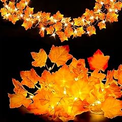 Fall decor pack for sale  Delivered anywhere in USA 