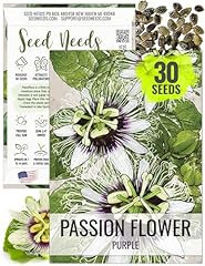 Seed needs purple for sale  Delivered anywhere in USA 