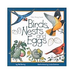 Birds nests eggs for sale  Delivered anywhere in UK