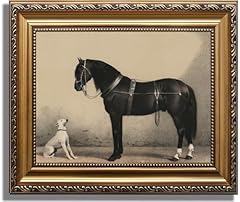 Astrdecor classic horse for sale  Delivered anywhere in USA 