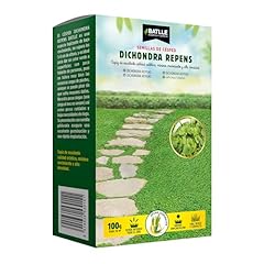 Dichondra repens usato  Spedito ovunque in Italia 