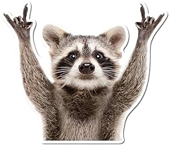 Rocking raccoon sticker for sale  Delivered anywhere in USA 