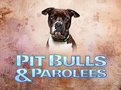 Pitbulls prisonniers d'occasion  Livré partout en France