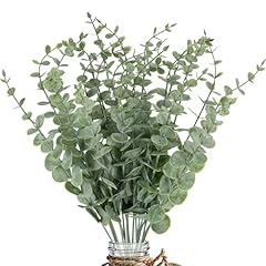 20pcs eucalyptus stems for sale  Delivered anywhere in USA 