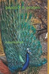 Peacock peahen colouring for sale  Delivered anywhere in USA 