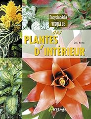 Plantes intérieur d'occasion  Livré partout en France