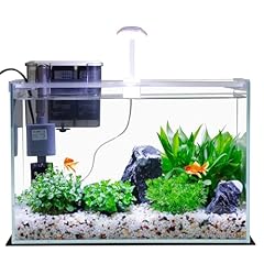 Gallon glass small for sale  Delivered anywhere in USA 