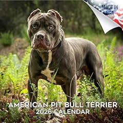 2025 2026 american for sale  Delivered anywhere in USA 