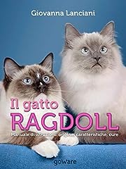 Gatto ragdoll. manuale usato  Spedito ovunque in Italia 