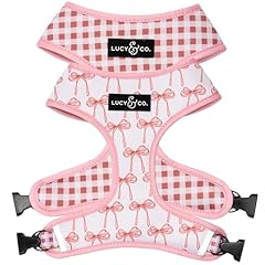 Lucy co. cute for sale  Delivered anywhere in USA 