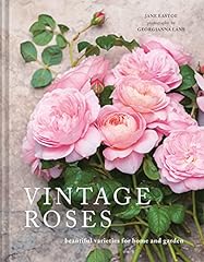 Vintage roses beautiful for sale  Delivered anywhere in Ireland