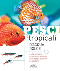 Pesci tropicali acqua usato  Spedito ovunque in Italia 