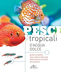 Pesci tropicali acqua usato  Spedito ovunque in Italia 