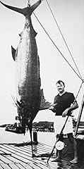 Ernest hemingway american for sale  Delivered anywhere in USA 