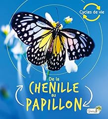 Chenille papillon d'occasion  Livré partout en France