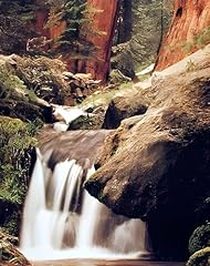 Redwood waterfall forest for sale  Delivered anywhere in USA 