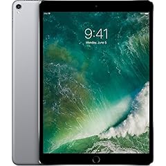 Apple ipad pro gebraucht kaufen  Wird an jeden Ort in Deutschland