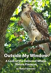Outside window look for sale  Delivered anywhere in USA 