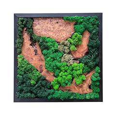 Evergreen oasis natural for sale  Delivered anywhere in USA 