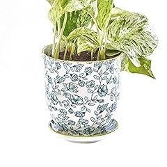 Chive liberte ceramic for sale  Delivered anywhere in USA 