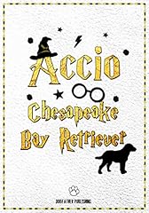 Accio chesapeake bay for sale  Delivered anywhere in UK