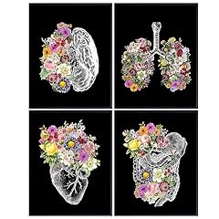 Human anatomy decoration for sale  Delivered anywhere in USA 