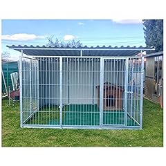Box per cani usato  Spedito ovunque in Italia 