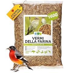 Vermi farina secchi usato  Spedito ovunque in Italia 