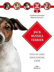 Jack russell terrier usato  Spedito ovunque in Italia 