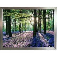 Bluebell woodland lap for sale  Delivered anywhere in UK