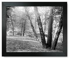 Framed print 12x15 for sale  Delivered anywhere in USA 