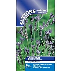 Suttons lavender seeds for sale  Delivered anywhere in UK