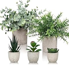 Cnwinu lot plantes d'occasion  Livré partout en Belgiqu