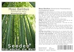 Seedeo moso bambus gebraucht kaufen  Wird an jeden Ort in Deutschland