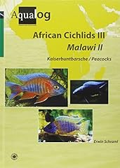 Aqualog african cichlids for sale  Delivered anywhere in UK
