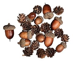 Rayher 55922000 eichel gebraucht kaufen  Wird an jeden Ort in Deutschland