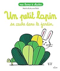 Petit lapin cache d'occasion  Livré partout en France