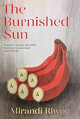 The burnished sun gebraucht kaufen  Wird an jeden Ort in Deutschland