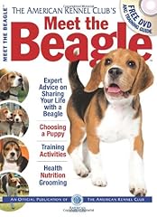 Meet beagle for sale  Delivered anywhere in USA 